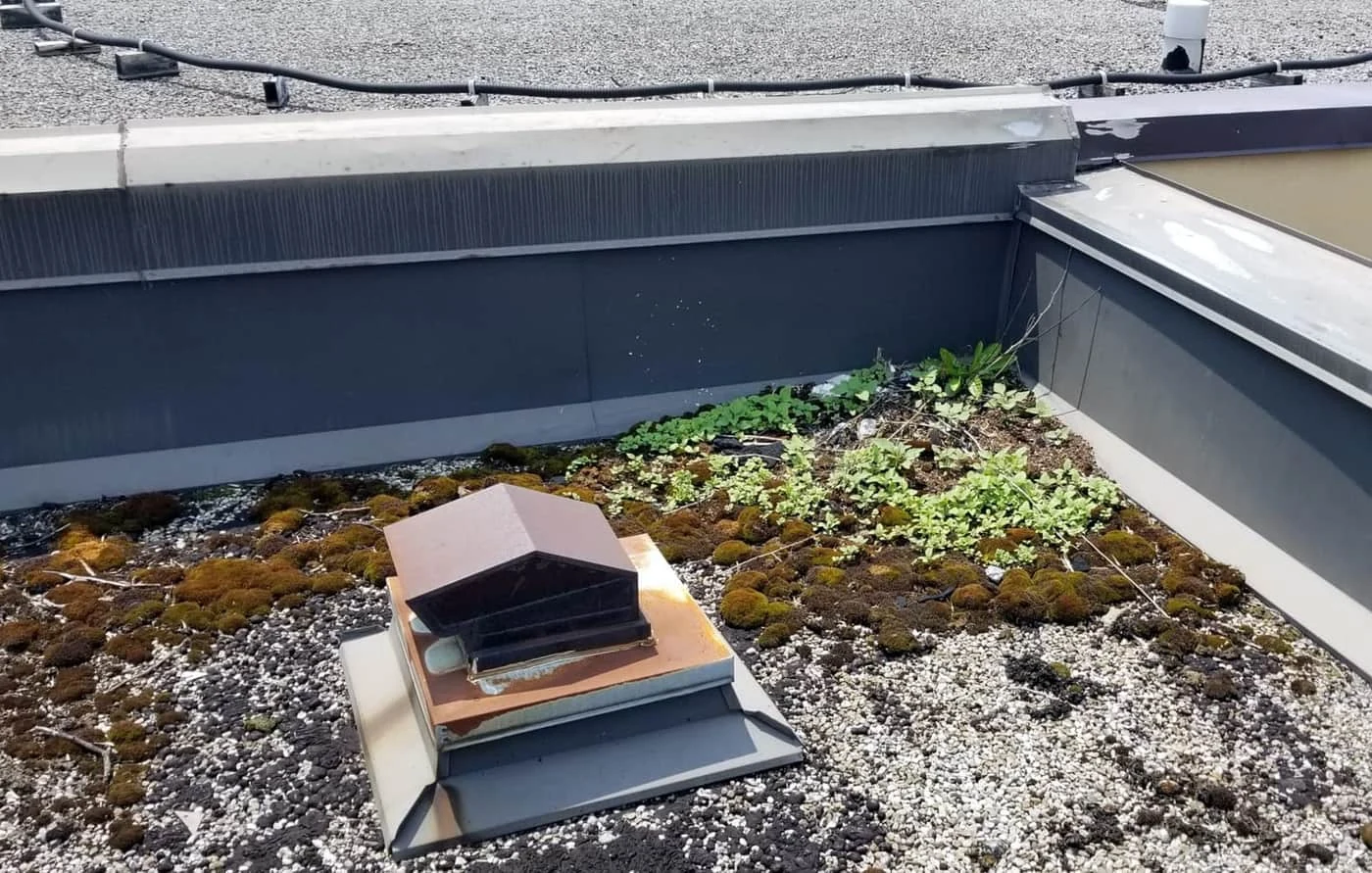 Commercial flat roof leak condition in Appleton